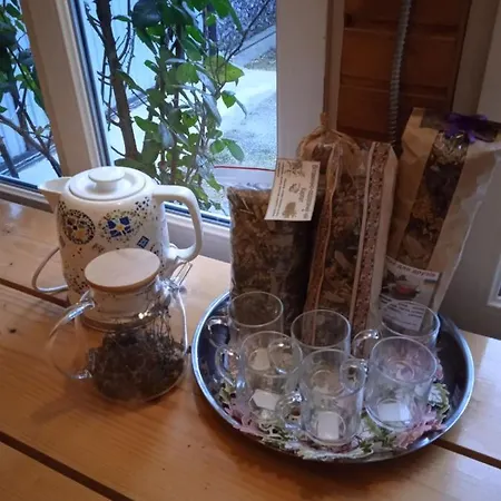 карпатські ночі Apartment Jaremtsche