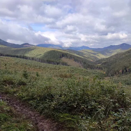 карпатські ночі *