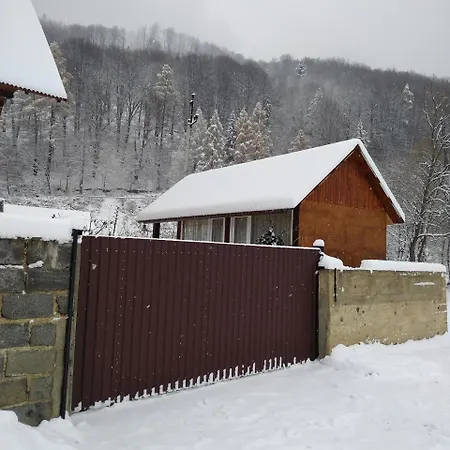 карпатські ночі Yaremche