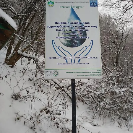 карпатські ночі *