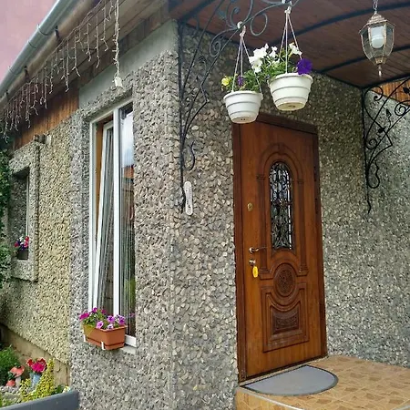 карпатські ночі Apartment Jaremtsche