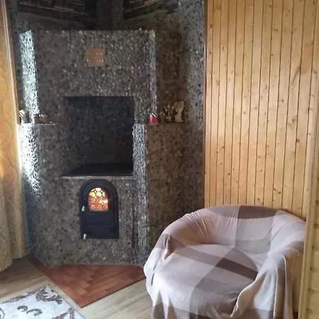 карпатські ночі Apartment