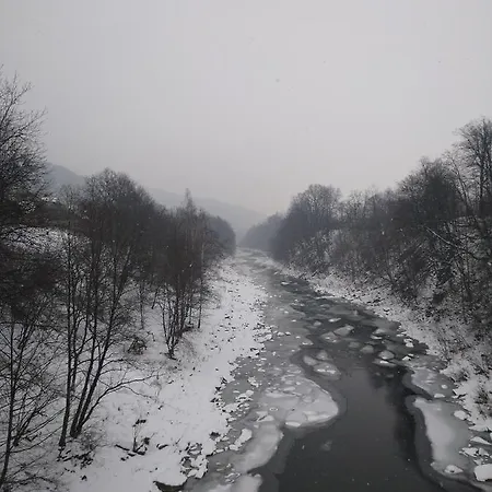 карпатські ночі