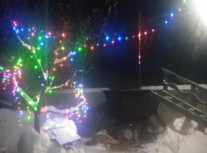 Daire карпатські ночі *