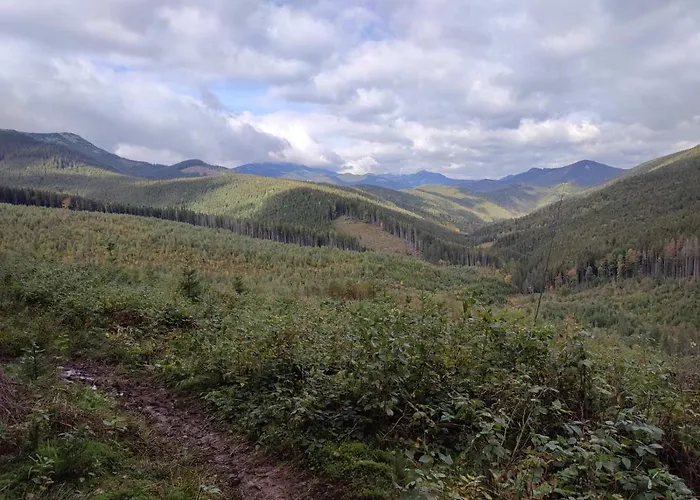карпатські ночі *