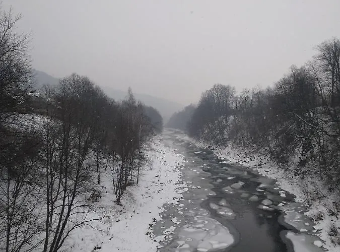карпатські ночі